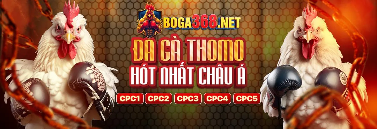 Tin tức mới nhất về 456win, cá cược trực tuyến hàng đầu Việt Nam
