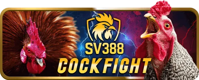 Tốc độ siêu việt