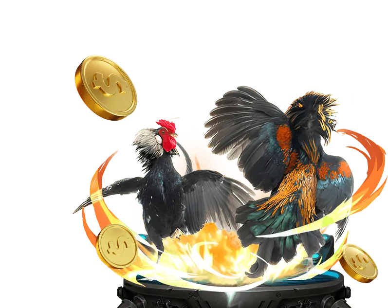 Hỗ trợ người chơi và nguồn lực cờ bạc có trách nhiệm